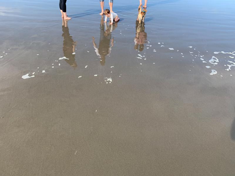 gallery/beach_sept_173.jpg