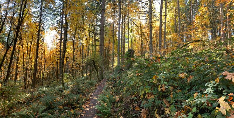 gallery/fall_hikes_18.jpg
