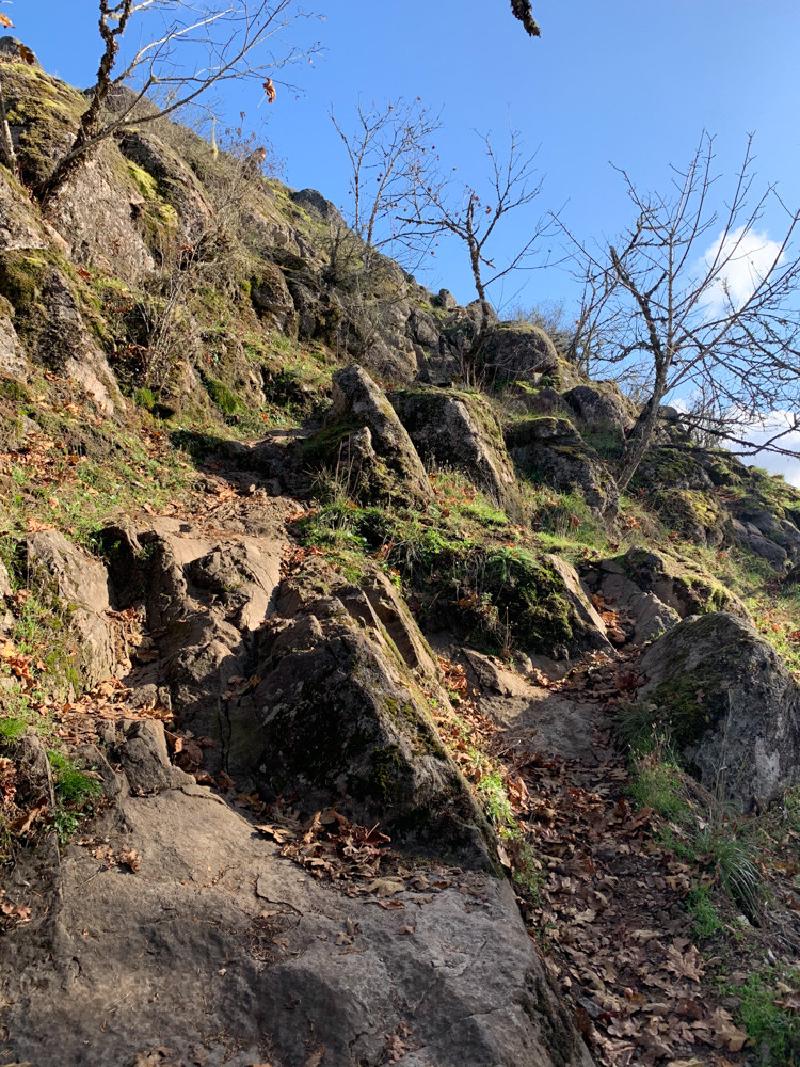 gallery/fall_hikes_22.jpg