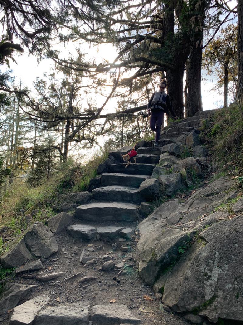 gallery/fall_hikes_32.jpg
