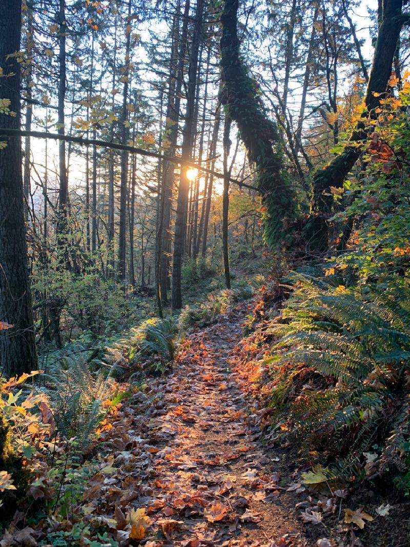 gallery/fall_hikes_40.jpg