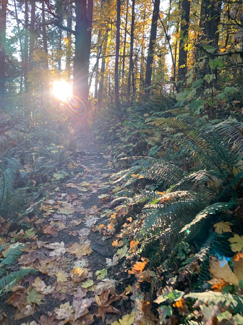 gallery/fall_hikes_42.jpg