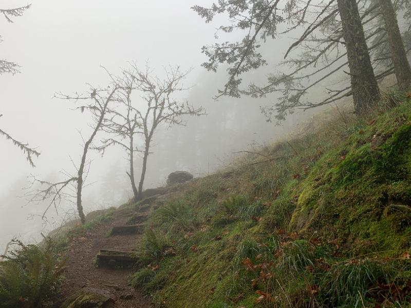 gallery/fall_hikes_46.jpg