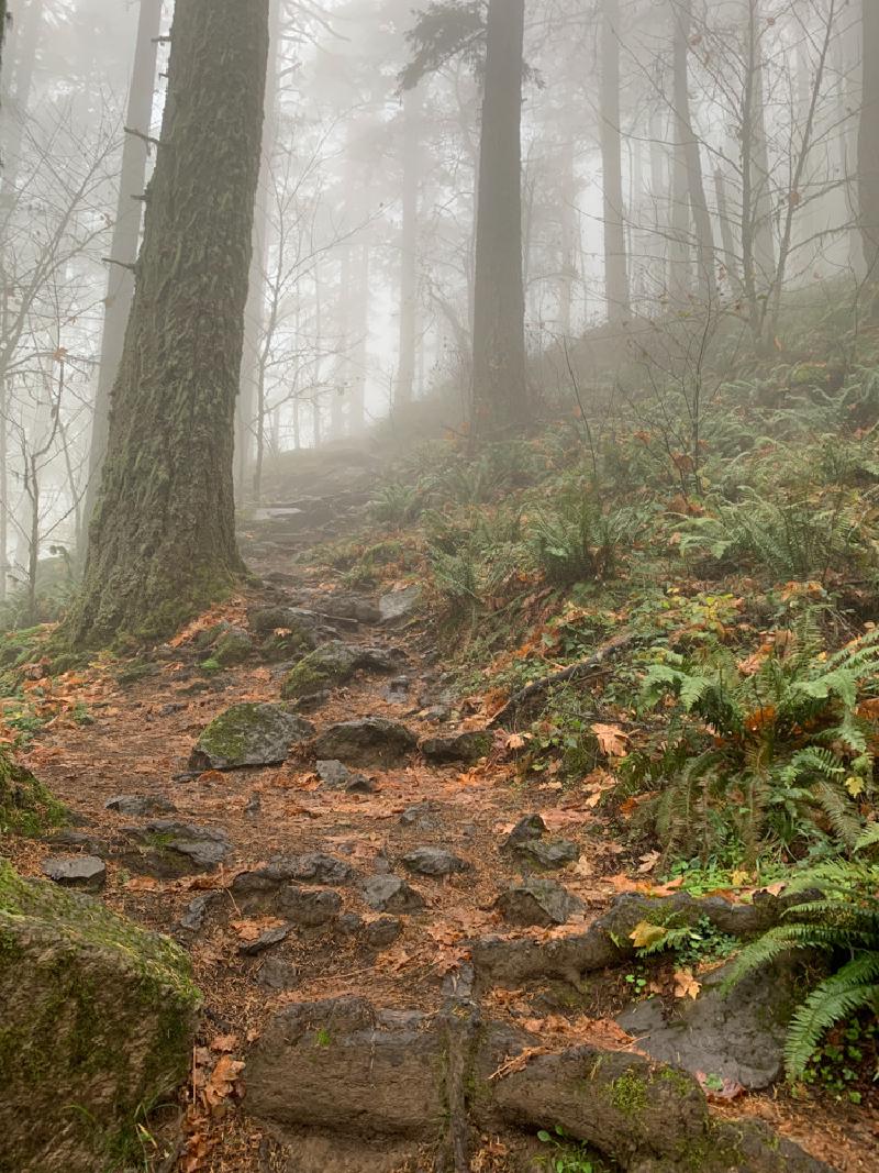 gallery/fall_hikes_50.jpg
