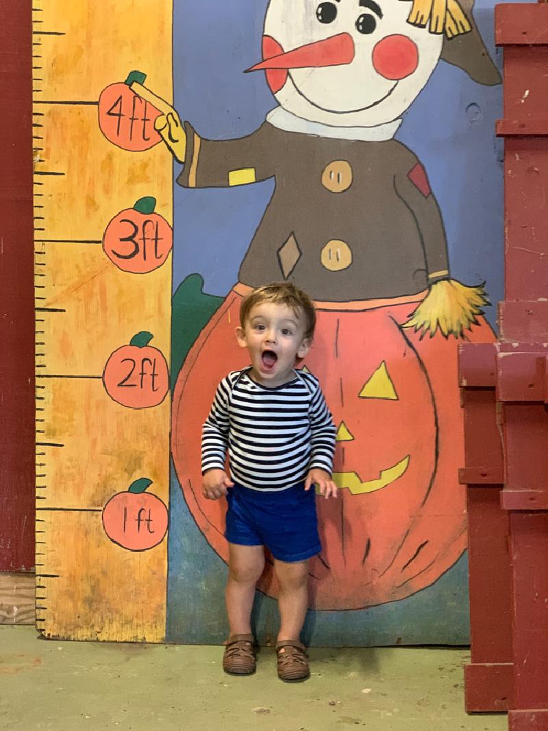 gallery/fall_02.jpg