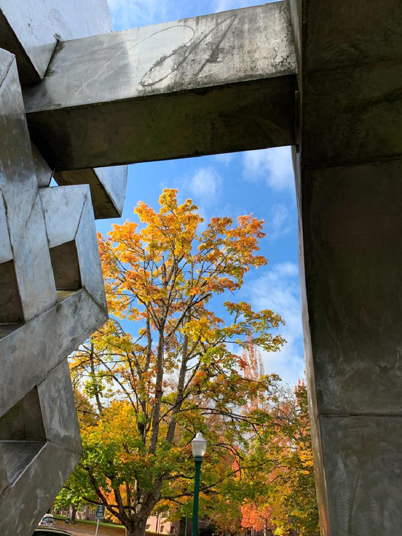 gallery/fall_55.jpg