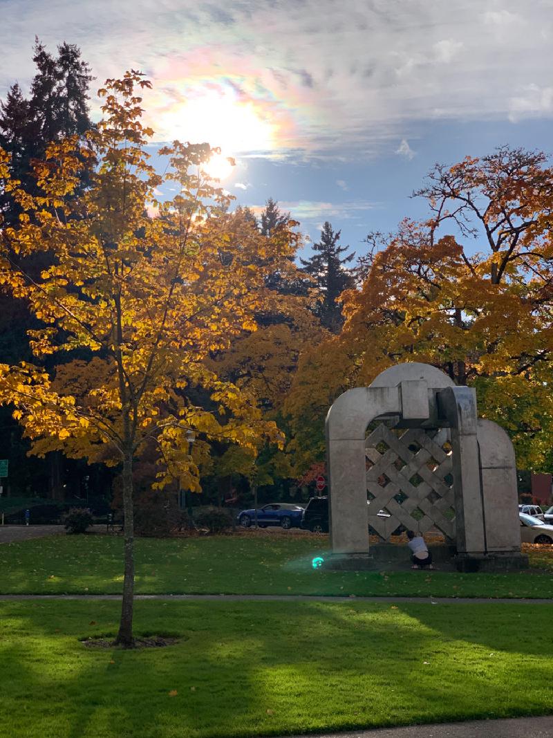 gallery/fall_56.jpg