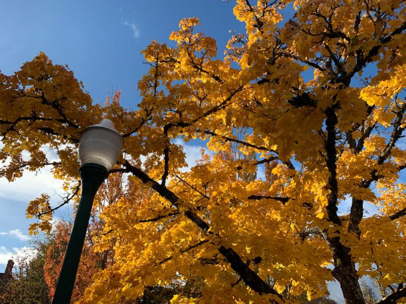 gallery/fall_58.jpg