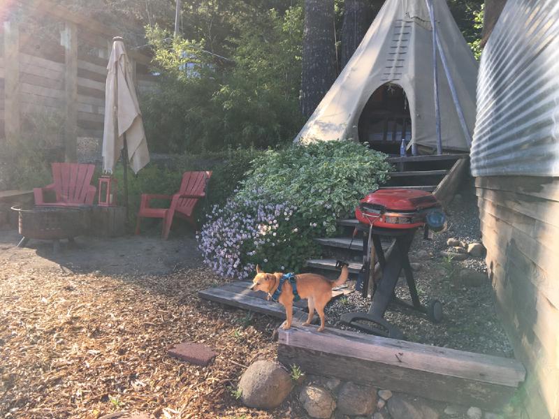 gallery/gorgeGlamping_28.jpg