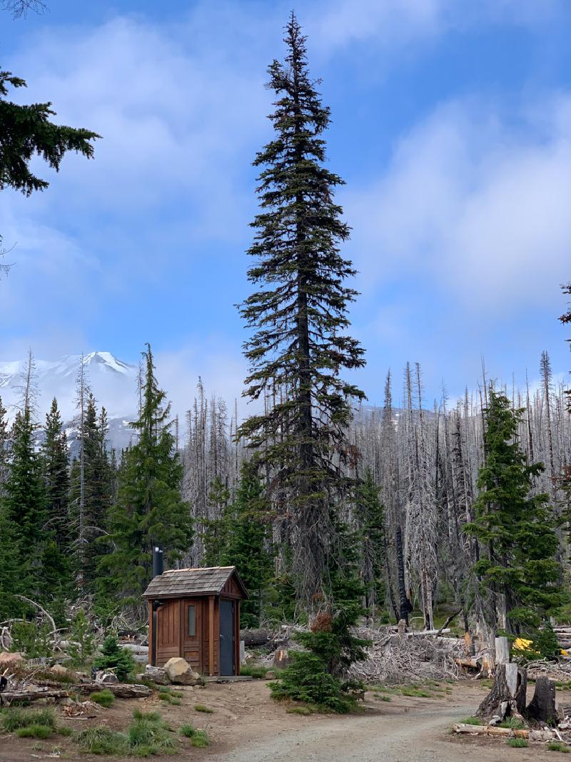 gallery/mtAdams_02.jpg