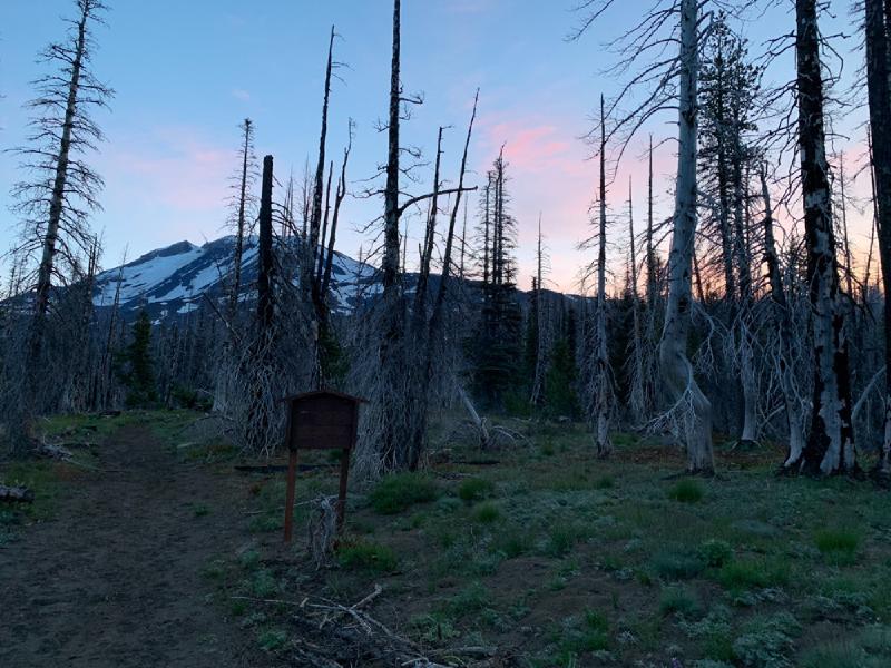 gallery/mtAdams_10.jpg