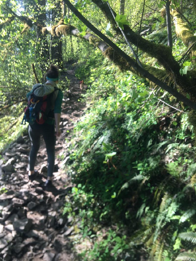 gallery/windMountainHike_1.jpg