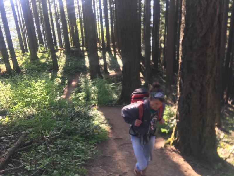 gallery/windMountainHike_6.jpg