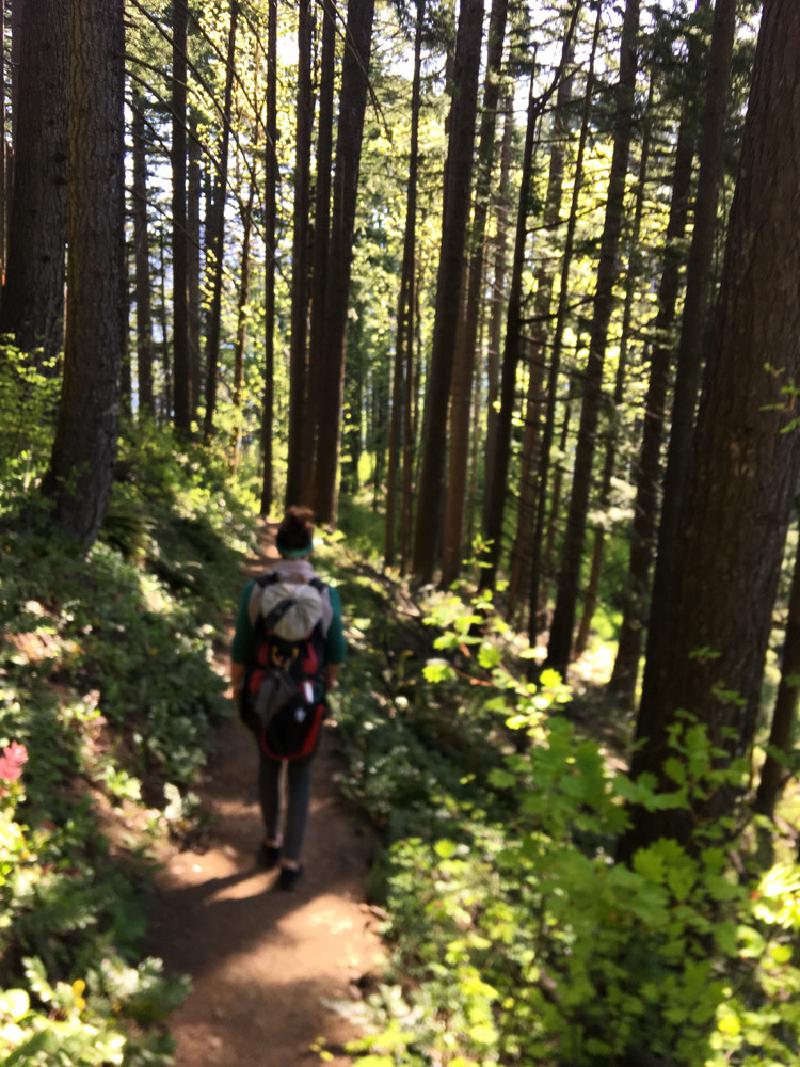 gallery/windMountainHike_7.jpg