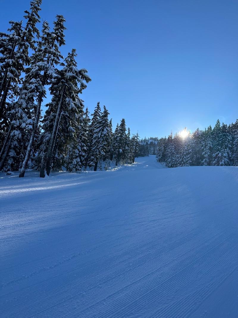 gallery/bachelorSki_01.jpg