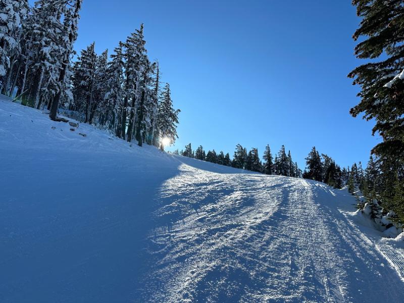 gallery/bachelorSki_04.jpg