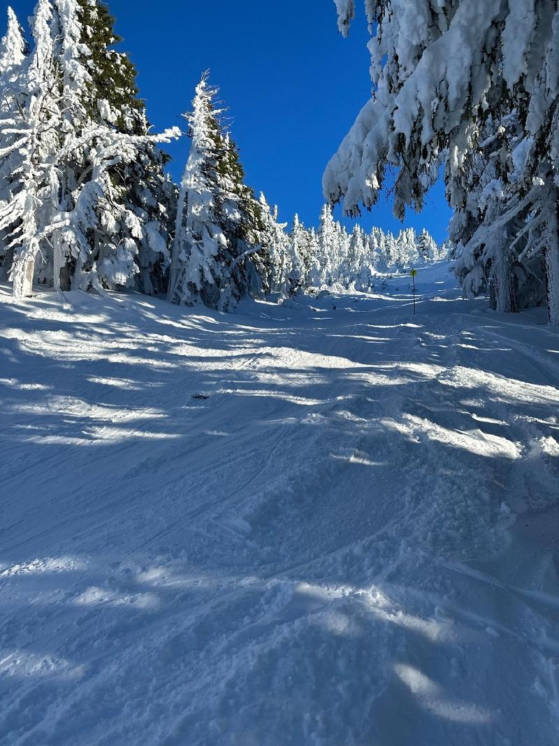 gallery/bachelorSki_07.jpg
