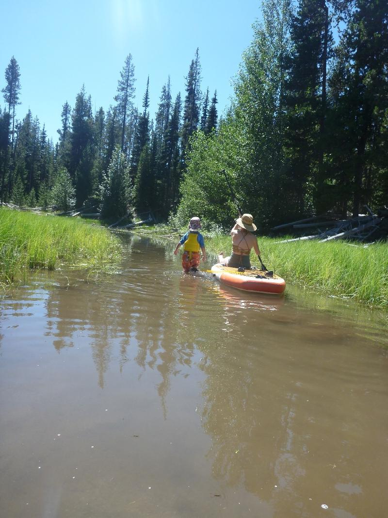 gallery/blueberryCampingBend_007.jpg