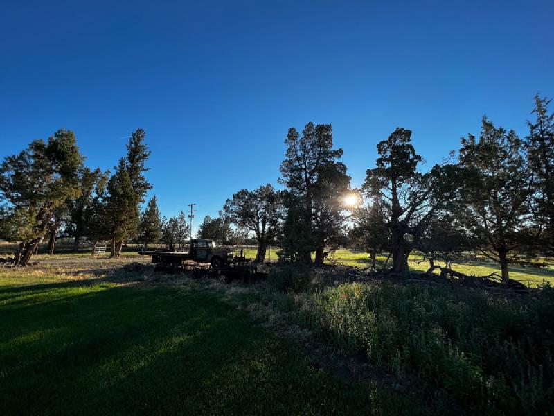 gallery/blueberryCampingBend_038.jpg