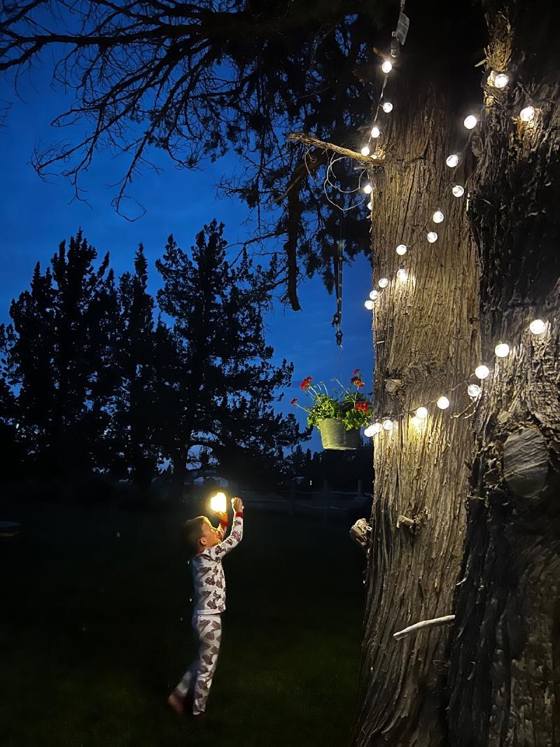 gallery/blueberryCampingBend_085.jpg