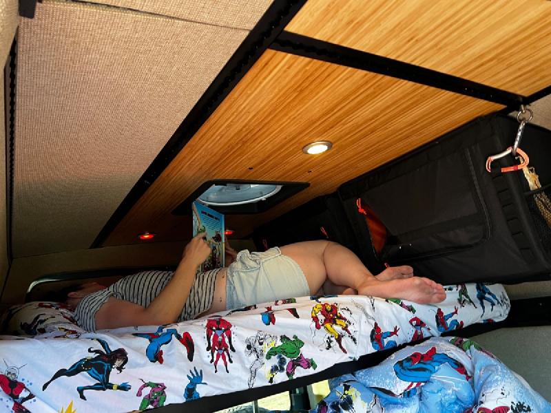 gallery/blueberryFlowerCamping_07.jpg