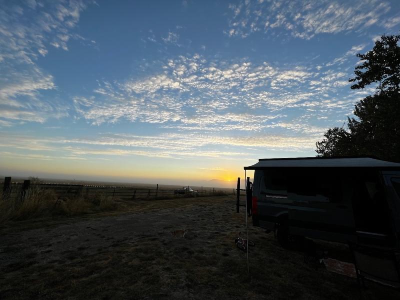 gallery/blueberryFlowerCamping_17.jpg