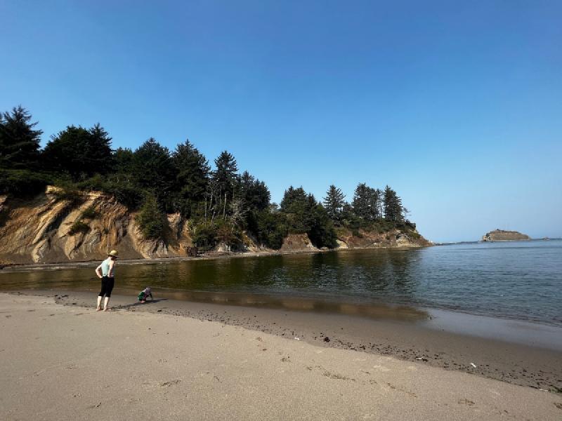 gallery/blueberryCoosBay_26.jpg