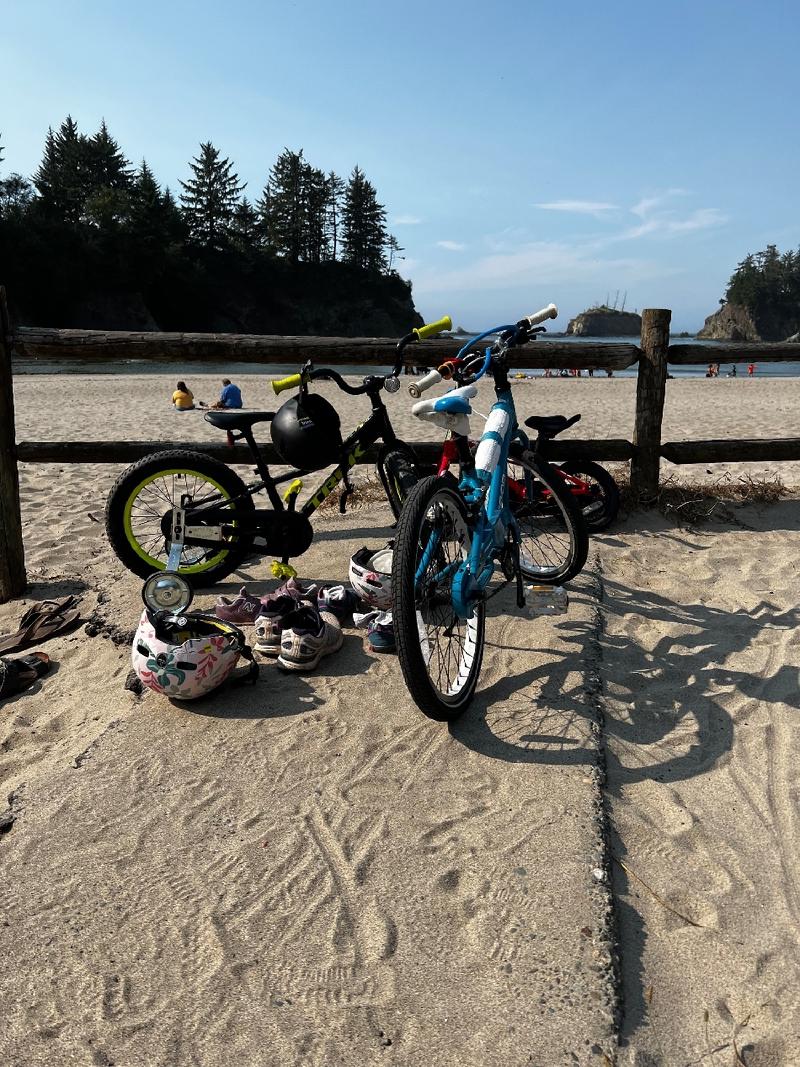 gallery/blueberryCoosBay_45.jpg
