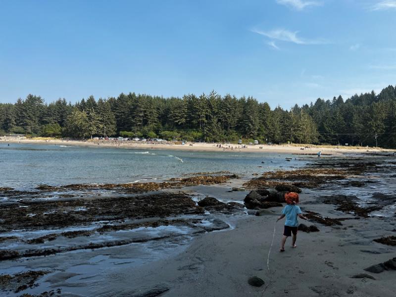 gallery/blueberryCoosBay_49.jpg