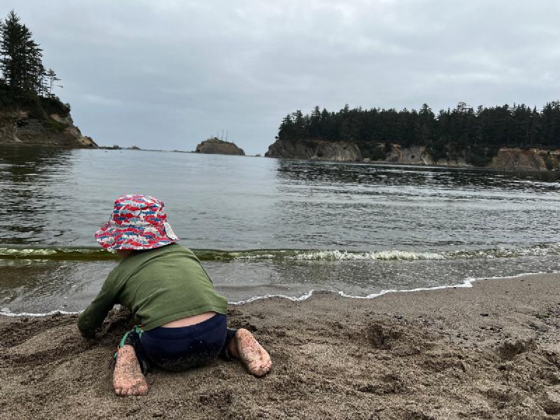 gallery/blueberryCoosBay_66.jpg