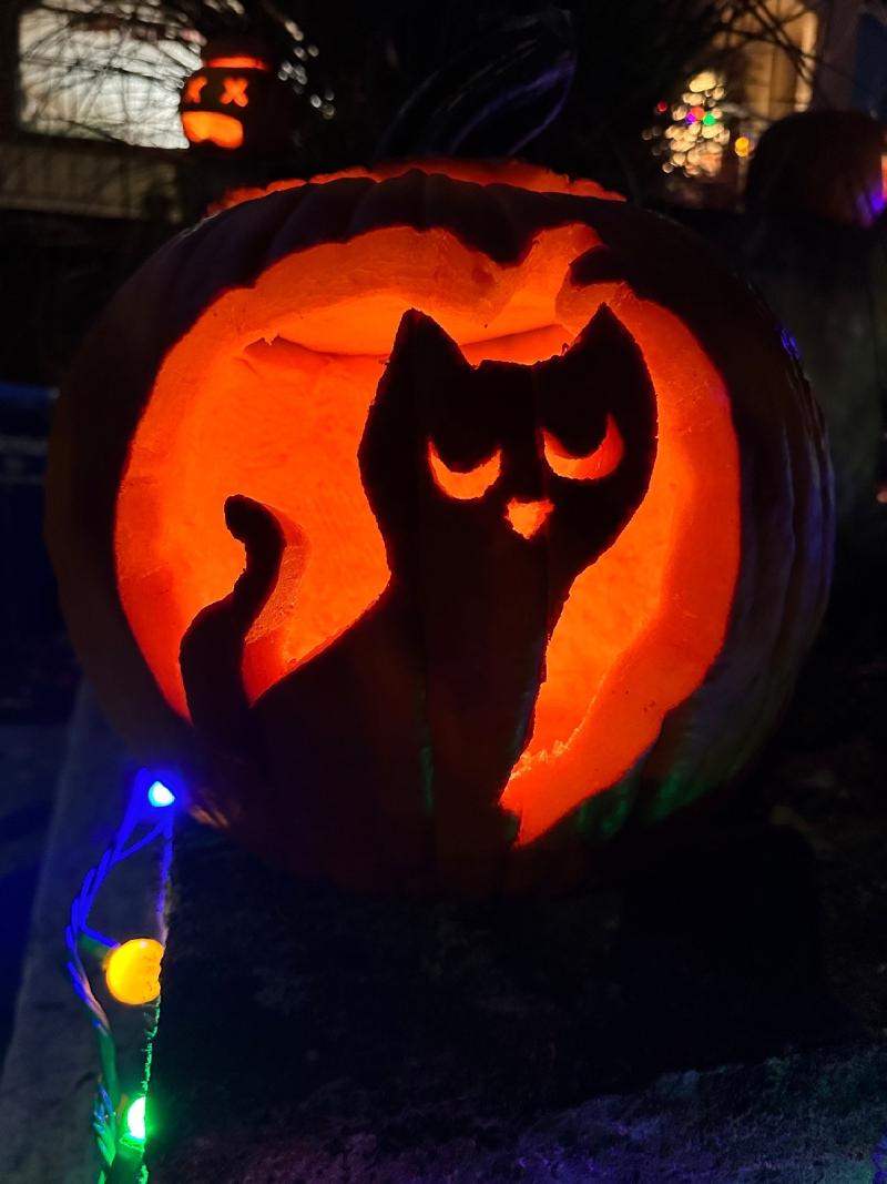 gallery/halloween_07.jpg