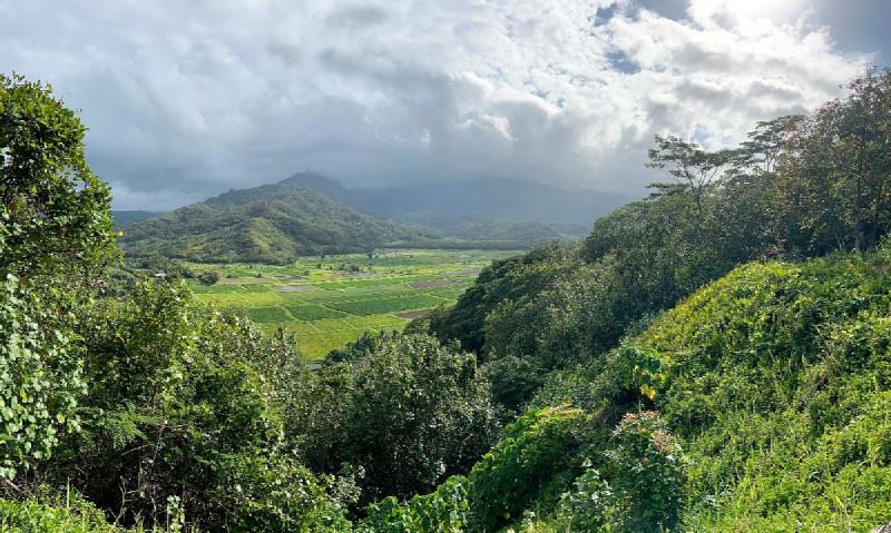 gallery/kauai_015.jpg