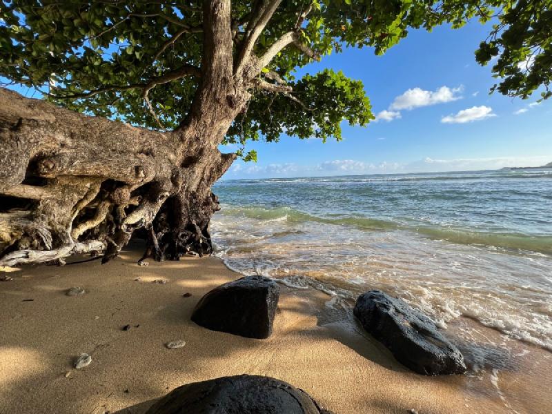 gallery/kauai_049.jpg