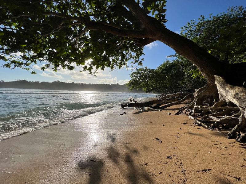 gallery/kauai_050.jpg