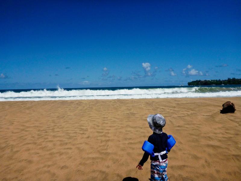 gallery/kauai_097.jpg