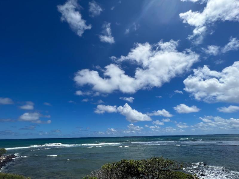 gallery/kauai_133.jpg