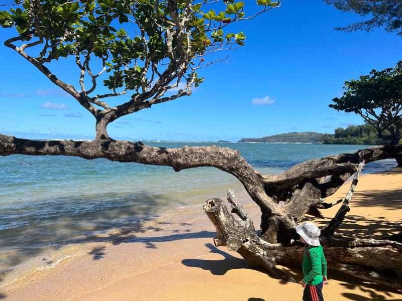 gallery/kauai_135.jpg