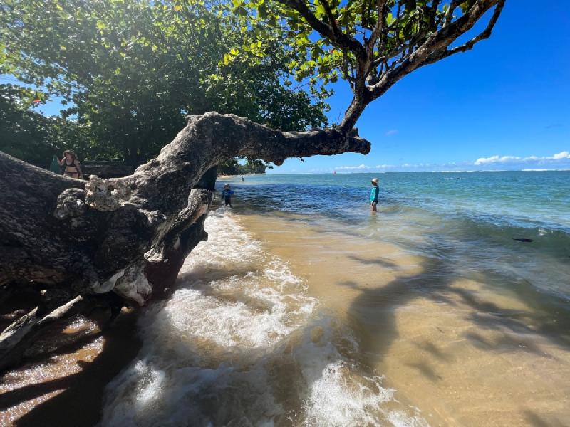 gallery/kauai_139.jpg
