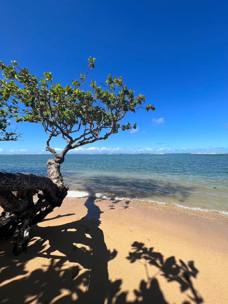 gallery/kauai_145.jpg
