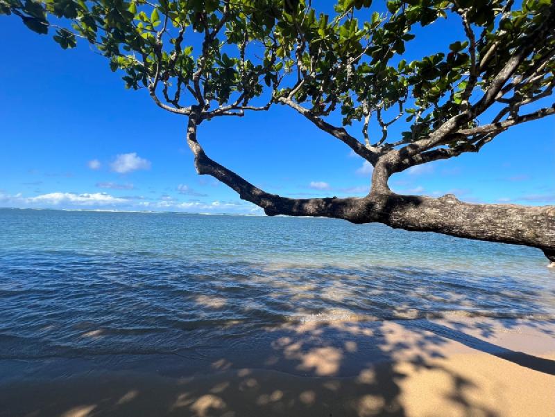 gallery/kauai_165.jpg
