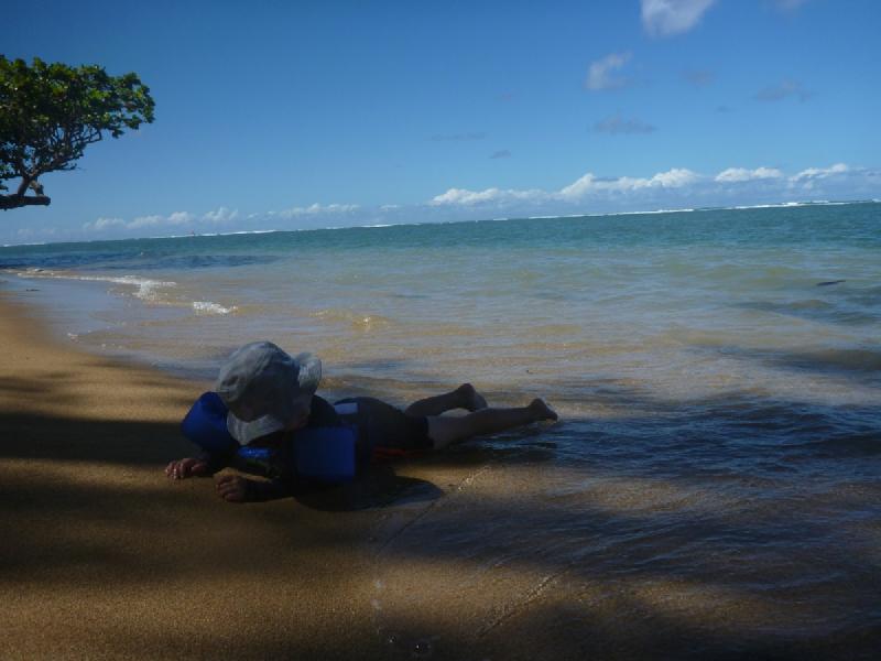 gallery/kauai_178.jpg