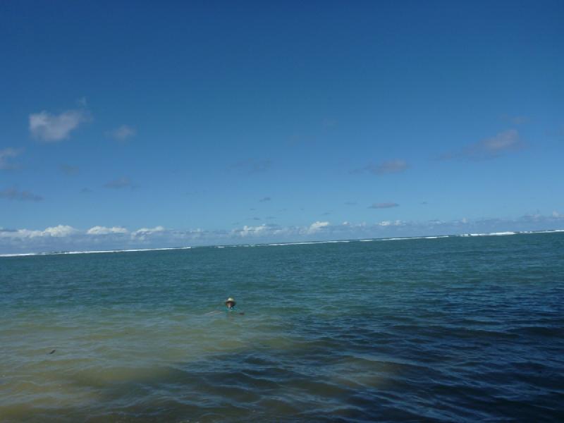 gallery/kauai_181.jpg