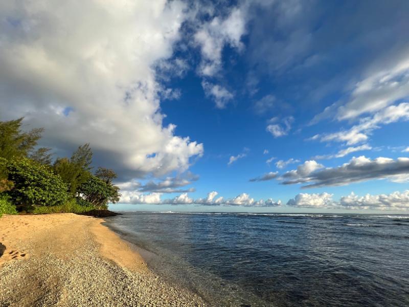 gallery/kauai_187.jpg