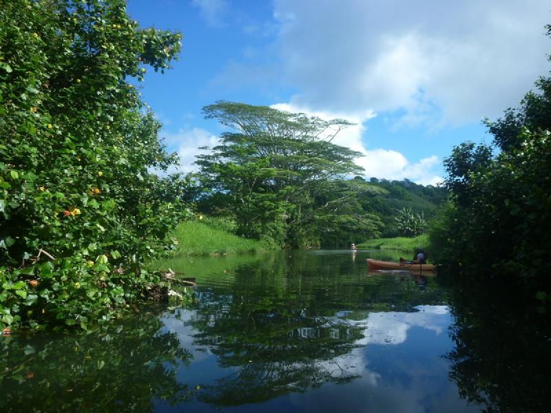 gallery/kauai_223.jpg