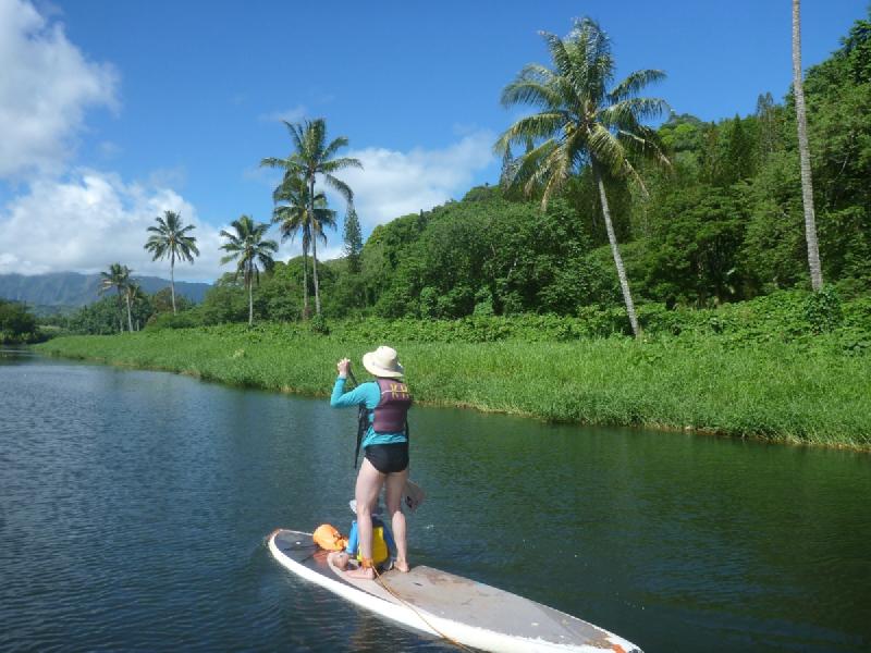 gallery/kauai_255.jpg