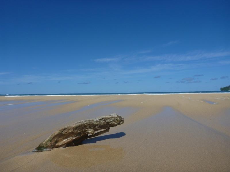 gallery/kauai_278.jpg