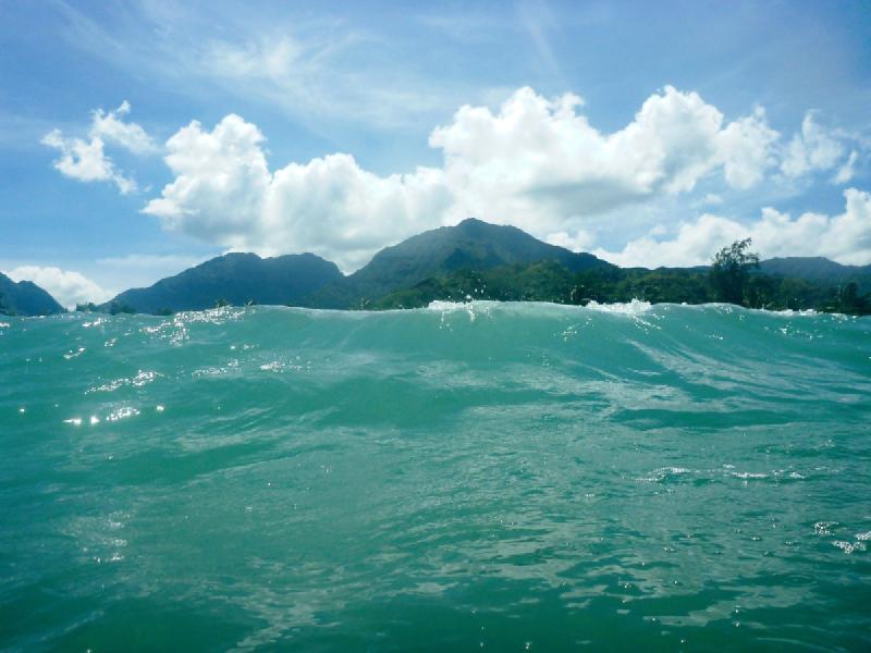 gallery/kauai_350.jpg