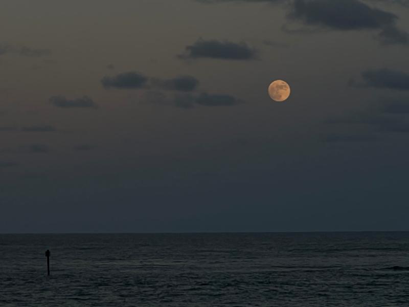 gallery/kauai_411.jpg