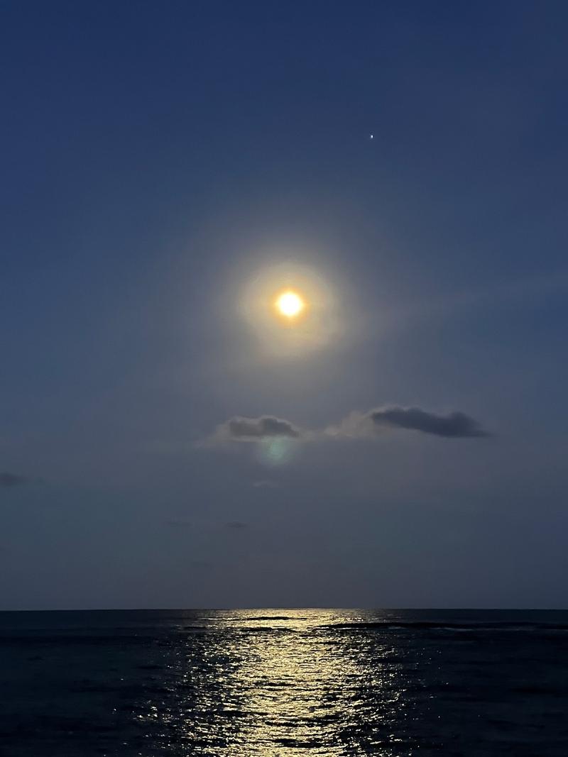 gallery/kauai_419.jpg