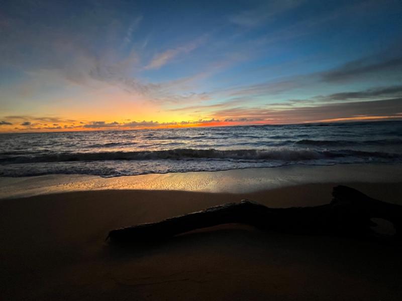 gallery/kauai_431.jpg